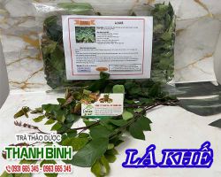 Lá Khế [ TÁC DỤNG, CÁCH LÀM ] MUA Ở ĐÂU NGUYÊN CHẤT GIÁ RẺ ? 